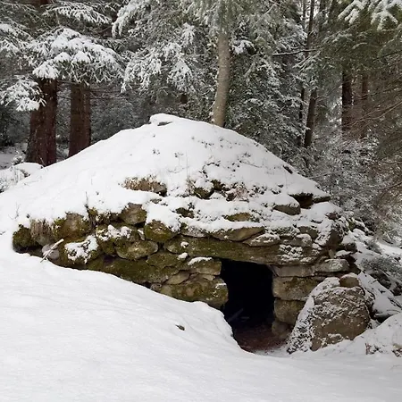 Apartman Pinsapo Canfranc-estacion