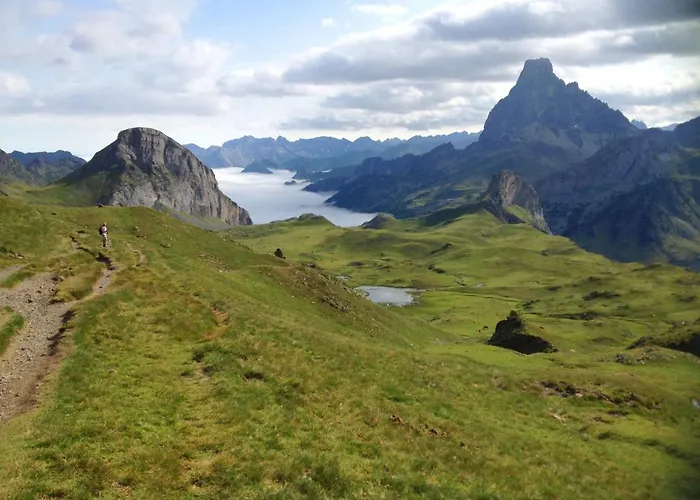 Pinsapo Canfranc-estacion